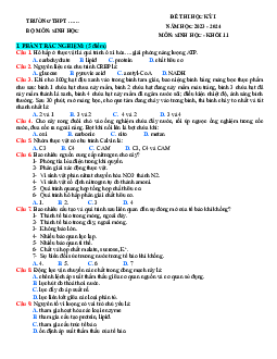 Đề thi học kì 1 Sinh học 11 đề 2| Kết nối tri thức