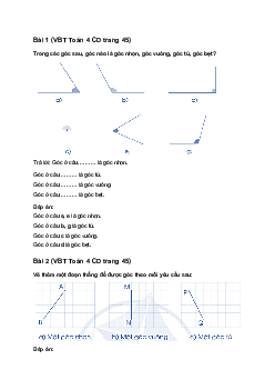 Vở bài tập Toán lớp 4 trang 45 Bài 19: Góc nhọn, góc tù, góc bẹt Cánh diều
