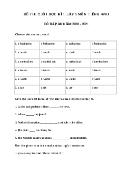 Đề thi học kì 1 lớp 5 môn tiếng Anh năm 2020 - 2021 số 2
