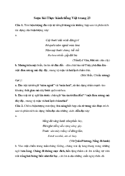 Thực hành tiếng Việt trang 23  | Soạn văn 11 Chân trời sáng tạo