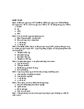 Đề thi tham khảo Kinh tế vĩ mô | Kinh tế vĩ mô | Đại học Ngoại thương