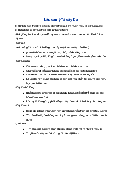 Dàn ý Tả cây lúa | Tập làm văn 4
