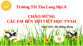 Giáo án điện tử Tự nhiên và xã hội 2 Bài 3 Chân trời sáng tạo: Phòng tránh ngộ độc khi ở nhà.