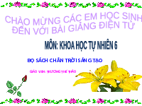 Giáo án điện tử Khoa học tự nhiên 6 bài 16 Chân trời sáng tạo : Một số phương pháp tách chất ra khỏi hỗn hợp