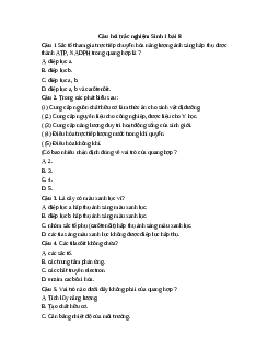 Trắc nghiệm Sinh học 11 Bài 8| Kết nối tri thức