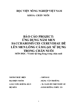 Báo cáo project:  Ứng dụng nấm men Saccharomyces cerevisiae để lên men cám gạo sử dụng trong chăn nuôi  | Học viện Nông nghiệp Việt Nam