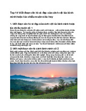 Top 14 Viết đoạn văn tả vẻ đẹp của cảnh vật lúc bình minh hoặc lúc chiều muộn siêu hay - Tiếng việt 3