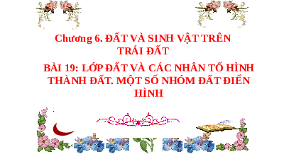 Giáo án điện tử Địa lí 6 Bài 19 Chân trời sáng tạo: Lớp đất và các nhân tố hình thành đất. Một số nhóm đất điển hình