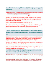 Câu hỏi tự luận môn Phát triển bền vững | Đại học Kinh tế Thành phố Hồ Chí Minh