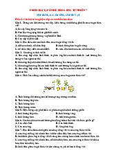 Bài tập hè Khoa học tự nhiên lớp 7 Chủ đề 8