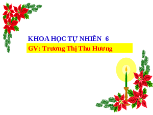 Giáo án điện tử Khoa học tự nhiên 6 bài 48 Kết nối tri thức : Sự chuyển hóa năng lượng