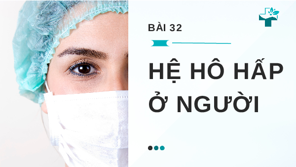Giáo án điện tử Khoa học tự nhiên 8 Bài 32 Cánh diều: Hệ hô hấp ở người