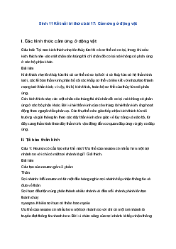 Sinh 11 Kết nối tri thức bài 17: Cảm ứng ở động vật