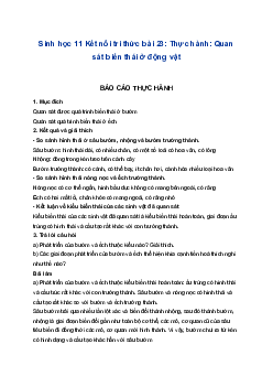 Sinh học 11 Kết nối tri thức bài 23: Thực hành: Quan sát biến thái ở động vật