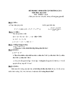 Tuyển tập đề thi học sinh giỏi môn Toán lớp 6 (có đáp án)