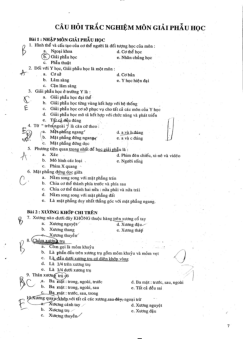 TOP 1000 câu hỏi trắc nghiệm GIẢI PHẪU HỌC | Đại học Đà Nẵng