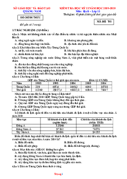 Đề thi HK2 môn Địa 11 Sở GD Quảng Nam 2019-2020 (Có đáp án)