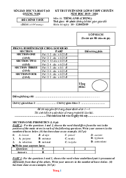 Đề thi tuyển sinh lớp 10 vào Trường THPT Chung năm 2019-2020 môn Tiếng Anh Sở GD Quảng Nam (có lời giải)