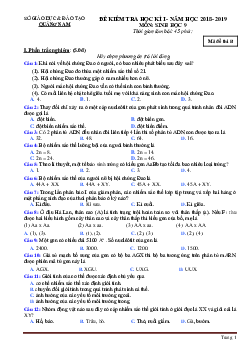 Đề thi HKI môn Sinh học 9 Sở GD&ĐT Quảng Nam năm học 2018-2019 (có đáp án)