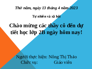 Giáo án điện tử Tự nhiên và xã hội 2 Bài 19 Cánh diều: Các mùa trong năm