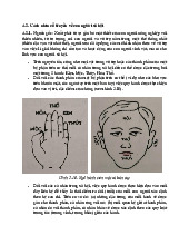 Cách Nhìn Cổ Truyền Về Con Người Xã Hội: Phân Tích và Giải Thích