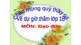 Giáo án điện tử Đạo đức 1 Bài 2 Chân trời sáng tạo : Em quan tâm chăm sóc người thân