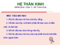 Tài liệu sưu tầm. Hệ Thần Kinh. Bộ môn Mô Phôi