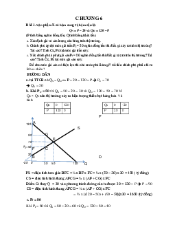 Bài tập chương 6 : Thị trường và yếu tố sản xuất | Đại học Thăng Long