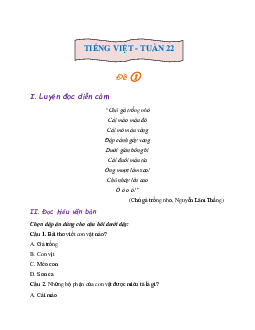 Phiếu bài tập cuối tuần lớp 2 môn Tiếng Việt Chân trời sáng tạo - Tuần 22 (Nâng cao)