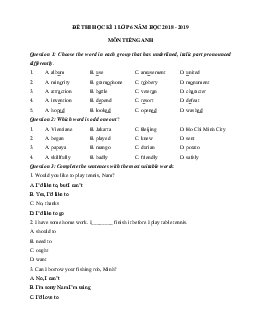 Đề thi học sinh giỏi lớp 6 môn Tiếng Anh năm học 2018 - 2019 số 6