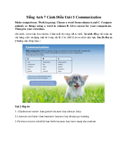 Tiếng Anh 7 Cánh Diều Unit 5 Communication