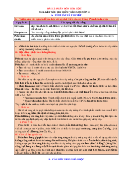 Chuyên đề KHTN 8 Kết nối tri thức bài 12 Phân bón hóa học