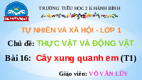 Giáo án điện tử Tự nhiên và xã hội 1 bài 19 Chân trời sáng tạo : Cây xung quanh em