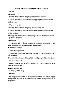 Giáo án Công nghệ 7 Bài 11:  Phòng và trị bệnh cho vật nuôi sách Kết nối tri thức