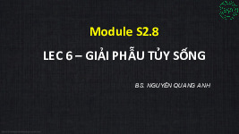 Bài giảng Giải phẫu tuỷ sống môn Phẫu thuật thực hành | Trường Đại học Y Hà Nội