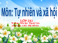 Giáo án điện tử Tự nhiên và Xã hội 2 Bài 27 Kết nối tri thức: Ôn tập chủ đề Con người và sức khoẻ