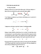 Phản ứng Cộng Thân Hạch: Hóa Học Hữu Cơ 2 (CH302)