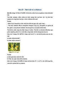 Giải Khoa học tự nhiên 9 Cánh diều Bài 27: Tinh bột và cellulose