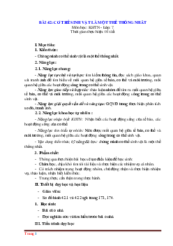 Giáo án KHTN 7 kết nối tri thức bài 42: Cơ thể sinh vật là một thể thống nhất