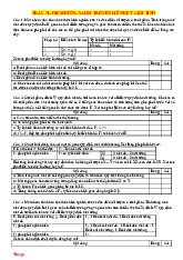 20 Câu Trắc Nghiệm Đúng Sai Di Truyền Liên Kết Giới Tính Sinh 12 Giải Chi Tiết