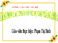 Giáo án điện tử Tiếng việt 1 bài 59 Cánh diều: Học vần: Ang, ăng, âng