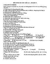 Tin 6 Đề cương CK1