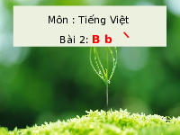 Giáo án điện tử Tiếng việt 1 bài 2 Chân trời sáng tạo: Học vần: B, b