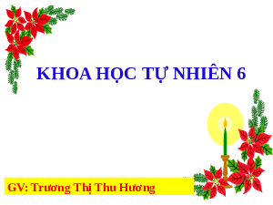 Giáo án điện tử Khoa học tự nhiên 6 bài 50 Kết nối tri thức : Năng lượng tái tạo