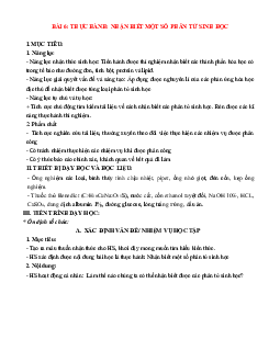 Giáo án Sinh học 10 sách Kết nối tri thức với cuộc sống (HKI) | Đề 6