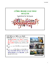 Giáo trình Công Nghệ sau thu hoạch - Tài liệu tổng hợp