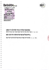 Báo Cáo Tài Chính 2021 của Công Ty CP Thực Phẩm Cholimex | Môn Phân tích báo cáo tài chính - Đại học Quy Nhơn