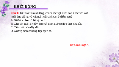 Giáo án điện tử Công nghệ 7 Bài 12 Kết nối tri thức: Chăn nuôi gà thịt trong nông hộ
