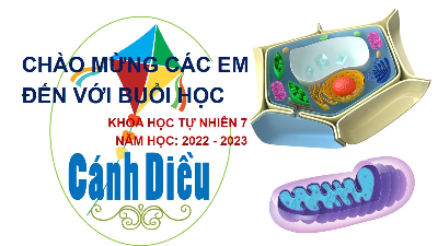 Giáo án điện tử Khoa học tự nhiên 7 bài 21 Kết nối tri thức : Hô hấp tế bào