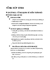 Tổng hợp Kiểm toán nội bộ - Chương 1 & 2 môn Kiểm toán | Đại học Kinh tế Thành phố Hồ Chí Minh
